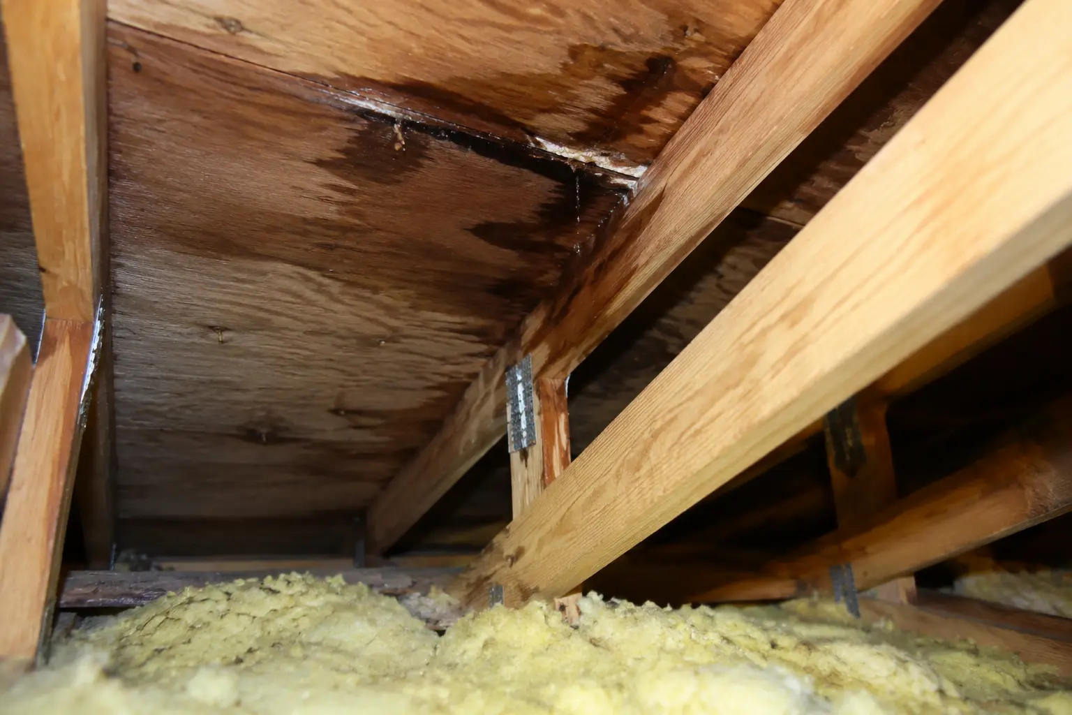 Educational example of active water entry roof damage